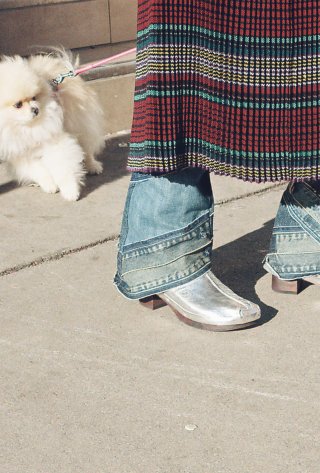 Silberne Schuhe mit Hund im Hintergrund